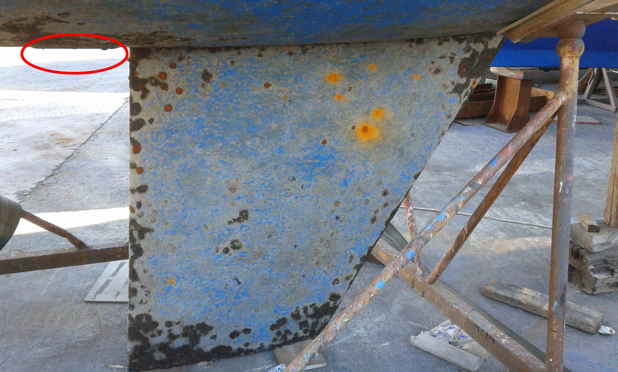 [Immagine: 2013130112634_Appena alata 3b.jpg]